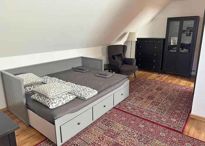 ヴィラ Rusinsky Dvor S Privatnym Wellness